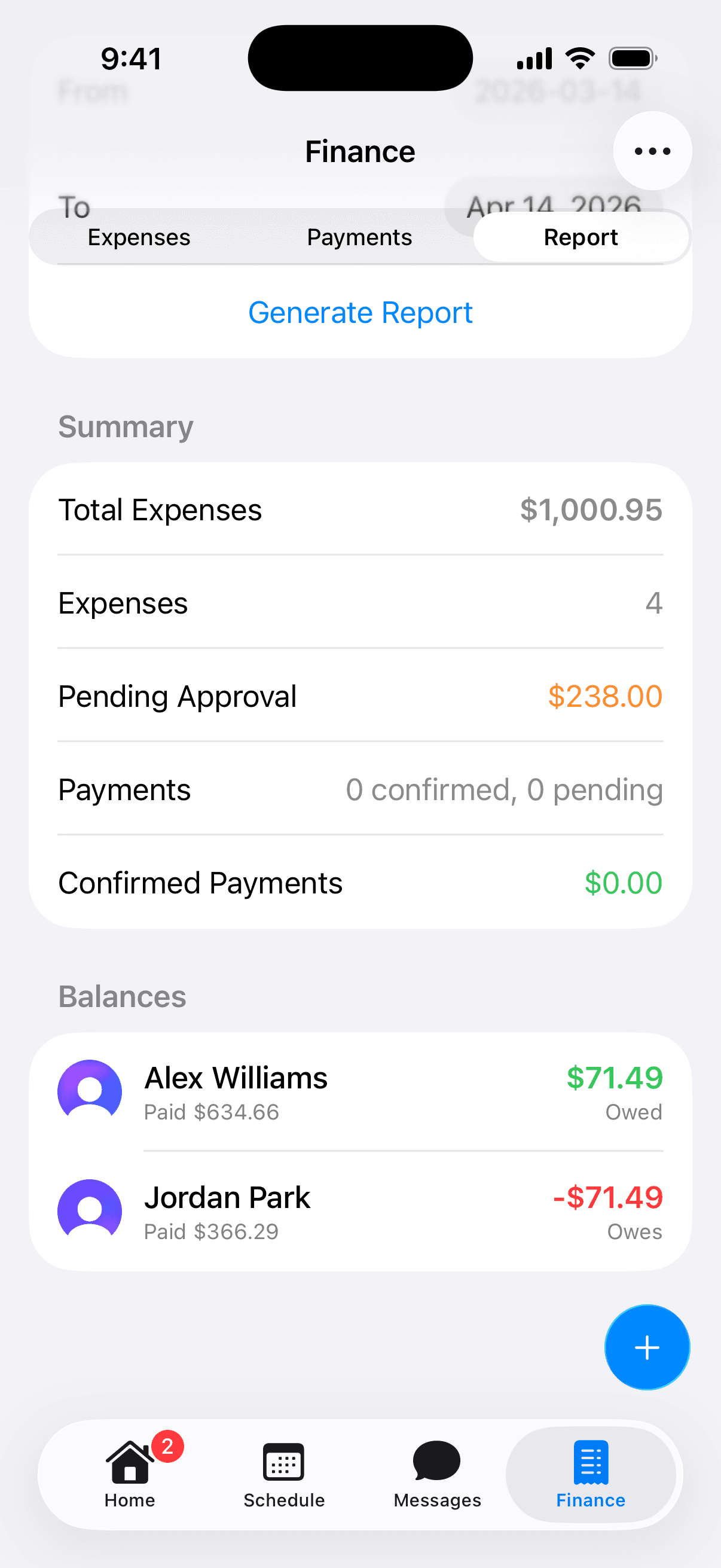 Finance report screenshot